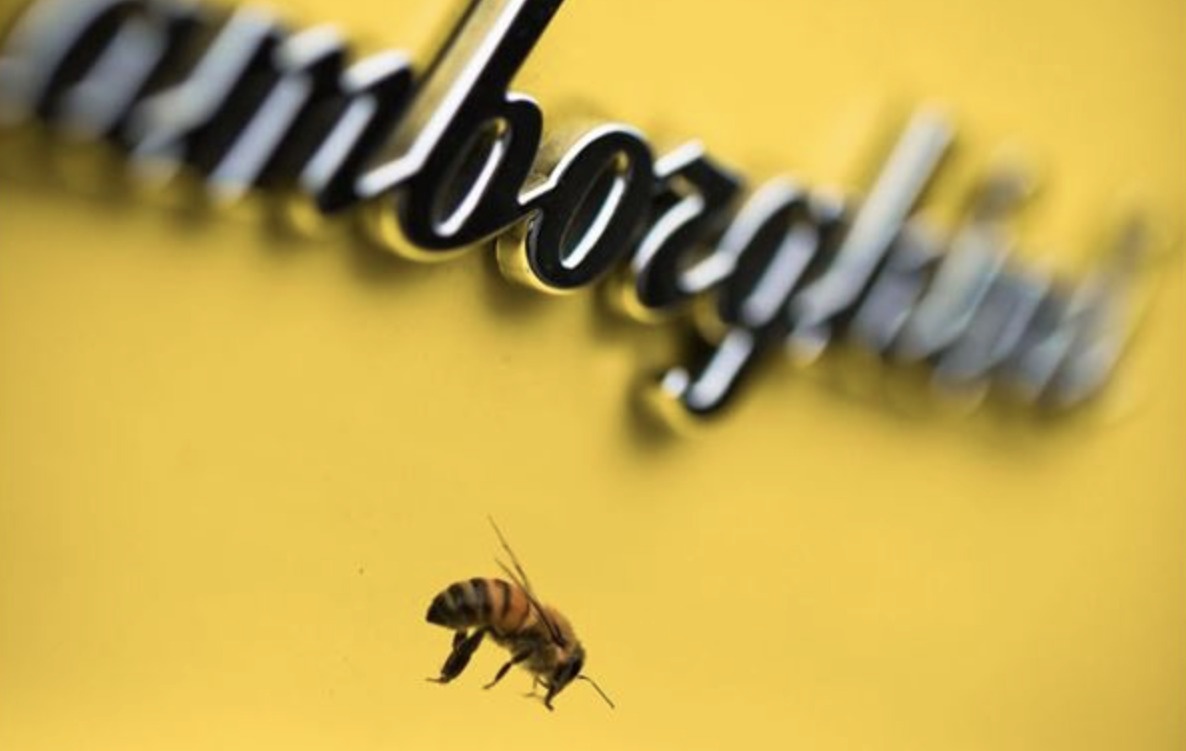 ランボルギーニが2016年から開始した養蜂事業を拡大中