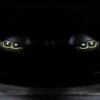 BMWが新型ハードコアモデル「M4 CSL」のティーザー画像を公開→なぜか削除！なお発表は5月20日から開催されるコンコルソ・デレガンツァ・ヴィラ・デステにて