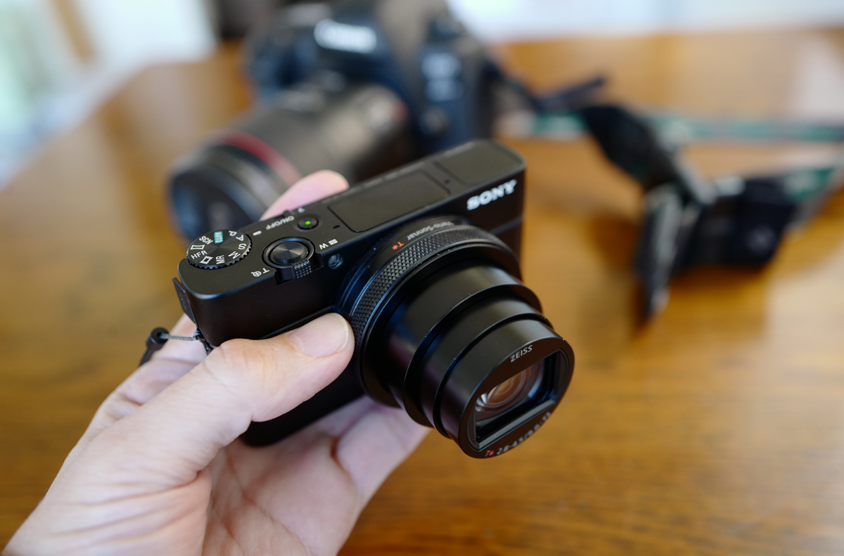 ソニーのデジカメRX-100 M6を購入。ソニー特有の「コンパクト、起動と記録が早く暗所に強い」性能に期待。ちなみにRXシリーズはこれで5台目