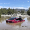 テスラ・モデル3が自動運転（FSD）中に池に落ちるというハプニング。いったいどうしてこうなったのか【動画】