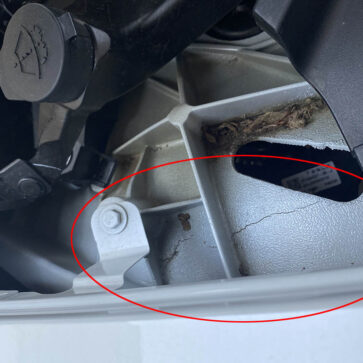 テスラ・モデルYのオーナーが「車体フレームにひび割れを発見」。テスラに修理を依頼し確認してもらうも「問題なし」との回答によって膠着状態に陥る