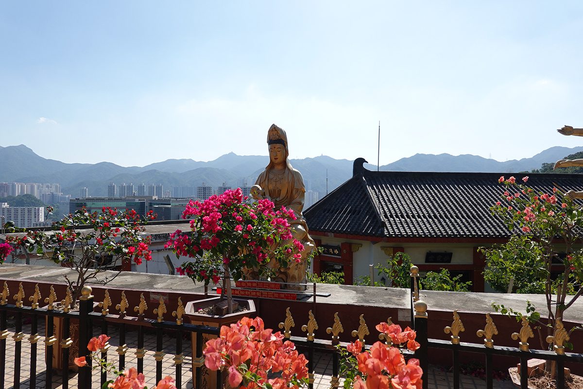 香港へ行ってきた。1万体以上の仏像が祀られる万仏寺（萬佛寺）はB級スポットと思いきや、実はかなり立派な寺院だった