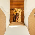 【世界に1台】ワンコ仕様のロールス・ロイス「スペクター・ベイリー」誕生。愛犬への深い愛を形にした究極のワンオフモデル、これはなんとも幸せな犬である
