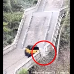 中国の奇瑞（Cherry/ Chery）、レンジローバーが成功した「ドラゴンチャレンジ」に挑戦するも大失敗、歴史的遺産を破壊するという散々な結果になって世界的にその名が知られる【動画】