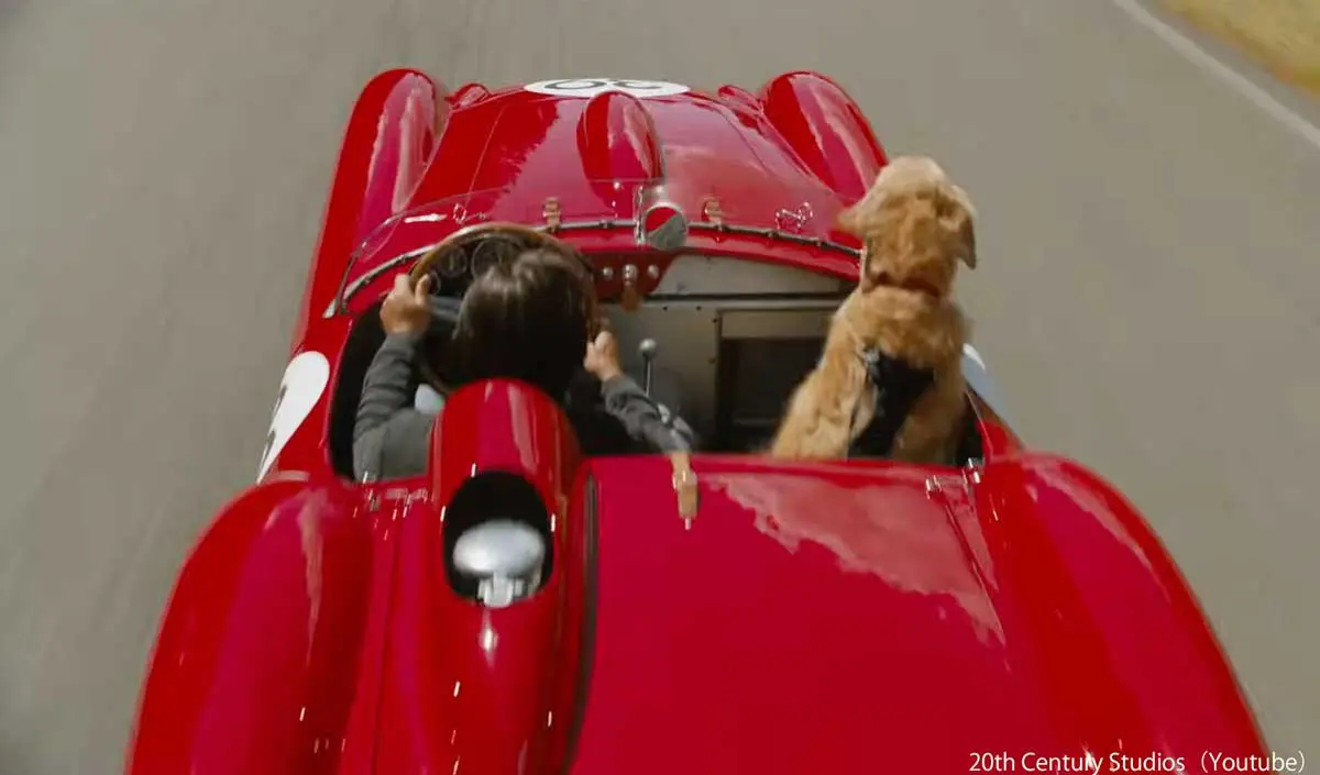 【ネタバレ】思わずいい映画に出会ったな・・・。「エンツォ レーサーになりたかった犬とある家族の物語」