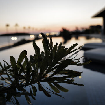 こんな夢を見た。「木を切った際に樹液が飛び散り、皮膚に付着して炎症を起こす」。人生における大きな決断、その決断への周囲の反対、その反対に対する自分の反対をあらわすようだ