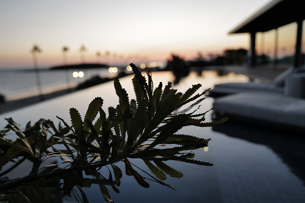 こんな夢を見た。「木を切った際に樹液が飛び散り、皮膚に付着して炎症を起こす」。人生における大きな決断、その決断への周囲の反対、その反対に対する自分の反対をあらわすようだ