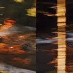 「見るのではなく聴け」。フェラーリ「デイトナ SP3×ノビテック」登場？伝説のV12が鳴り響く最新ティザー動画が公開