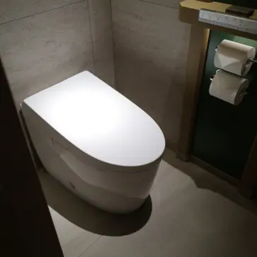 こんな夢を見た。「会社、自宅のトイレが両方とも壊れて使用できない」「床が割れ、それを修理しないとならないと思い眺めている」