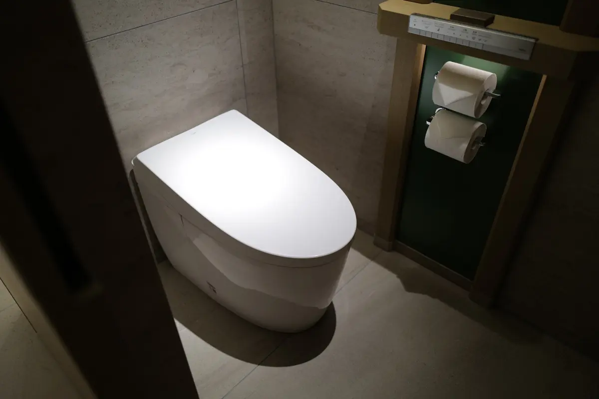 こんな夢を見た。「会社、自宅のトイレが両方とも壊れて使用できない」「床が割れ、それを修理しないとならないと思い眺めている」
