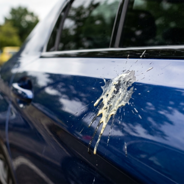 ボディに落ちた鳥の糞の画像(AIによる生成)