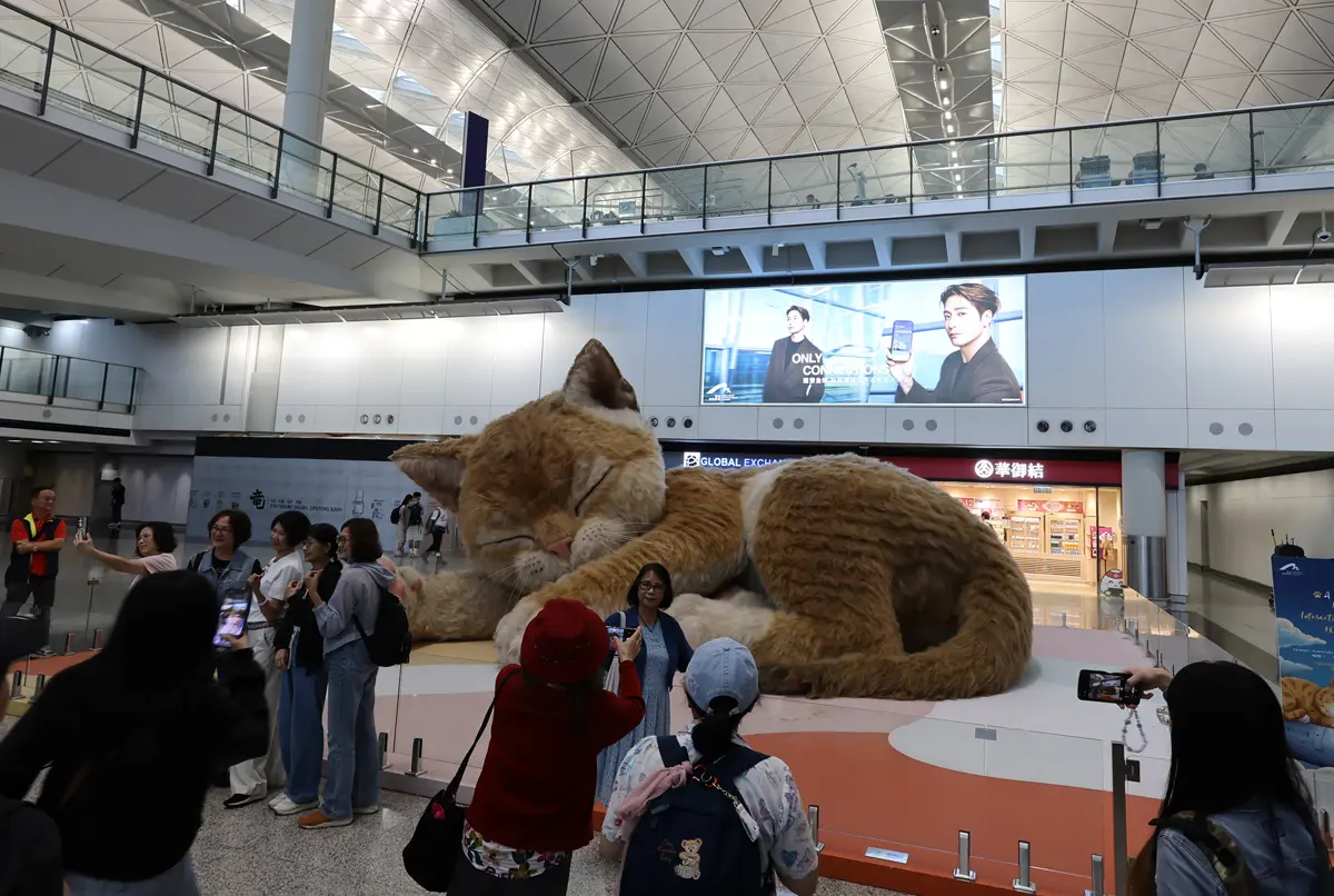 香港〜空港の巨大猫