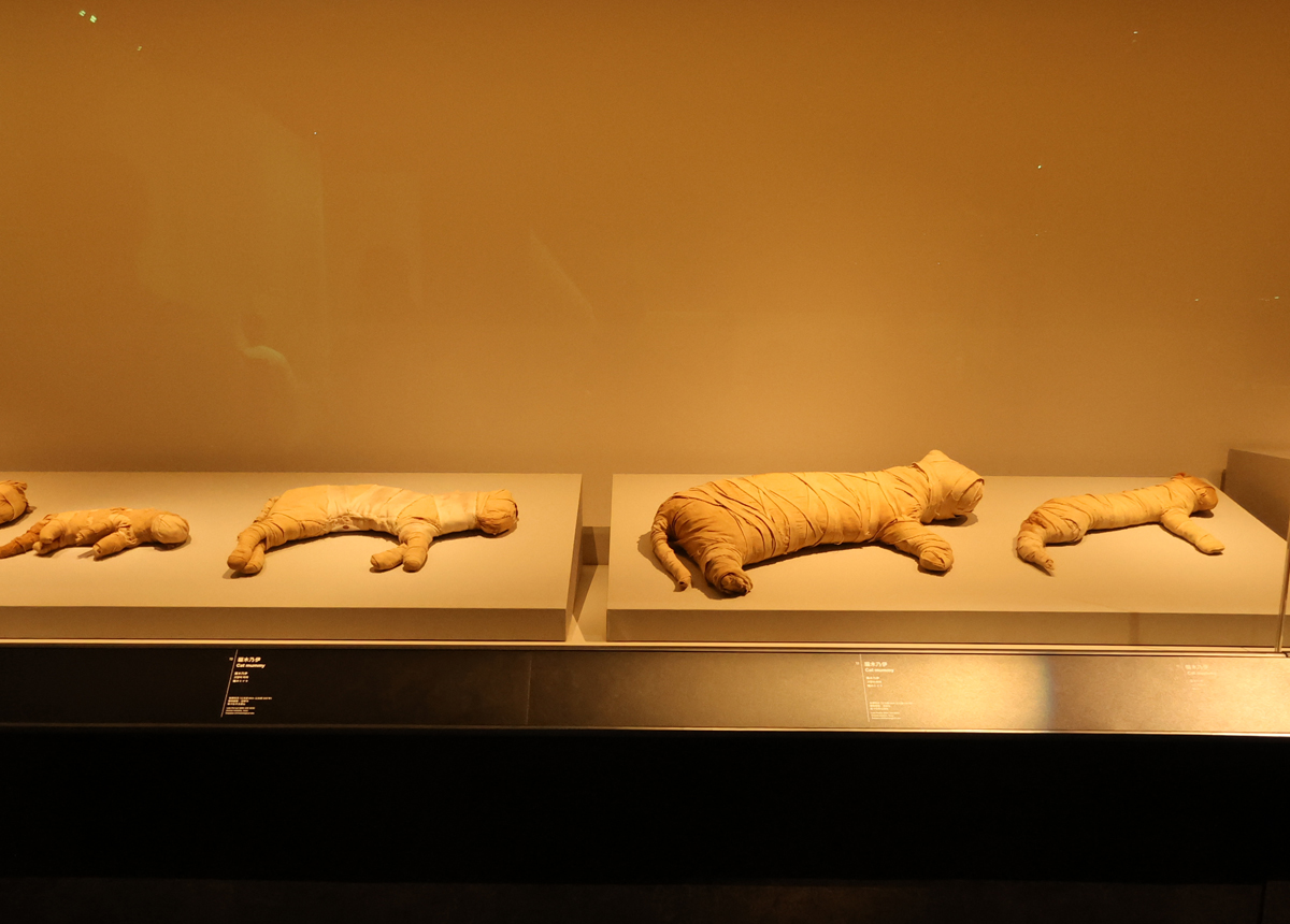 香港故宮文化博物館（Hong Kong Palace Museum）にて開催されている古代エジプト展