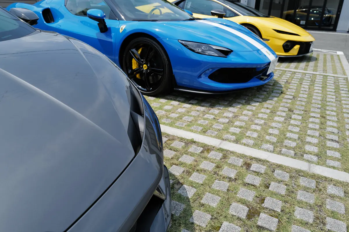 ンボルギーニ テメラリオと296GTB